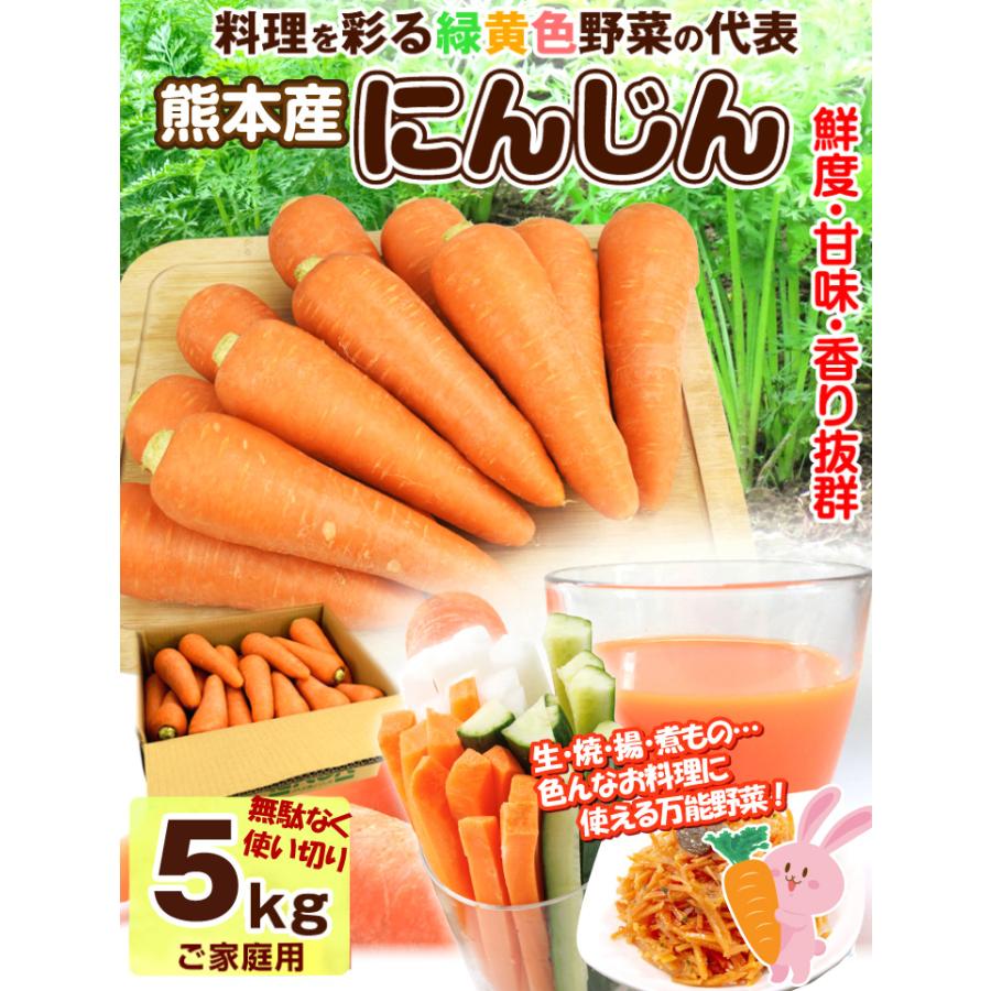 国華園 にんじん 5kg 熊本産 ご家庭用 送料無料 食品 : 花と緑 国華園