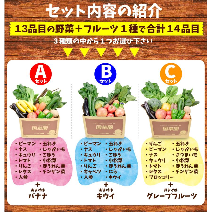 送料無料 70 Offアウトレット 国産 野菜セット 新鮮野菜13品 フルーツ1品 合計14品目 詰合せ お届け内容固定 厳選 選べる3種類 Set