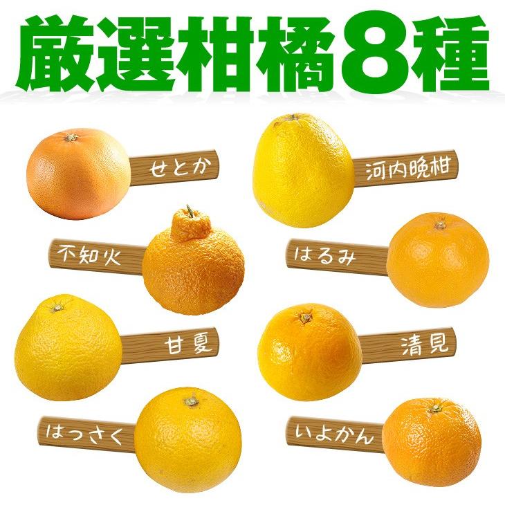 みかん 旬の柑橘 8種セット 約5kg 各種 2玉 せとか 不知火 甘夏 はっさく 河内晩柑 はるみ 清見 いよかん ご家庭用 食べ比べ Set 国華園 F 花と緑 国華園 通販 Yahoo ショッピング