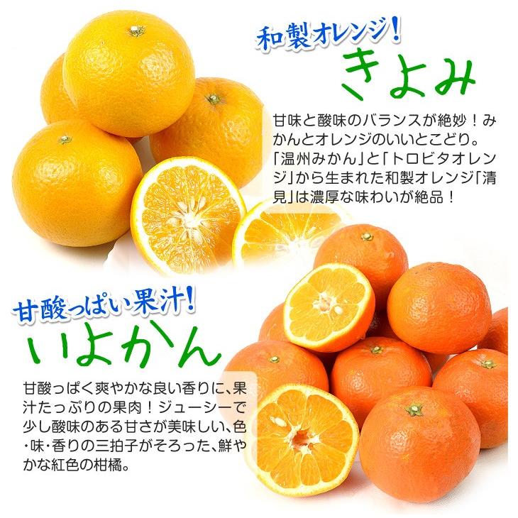 みかん 旬の柑橘 8種セット 約5kg 各種 2玉 せとか 不知火 甘夏 はっさく 河内晩柑 はるみ 清見 いよかん ご家庭用 食べ比べ Set 国華園 F81313 花と緑 国華園 通販 Yahoo ショッピング