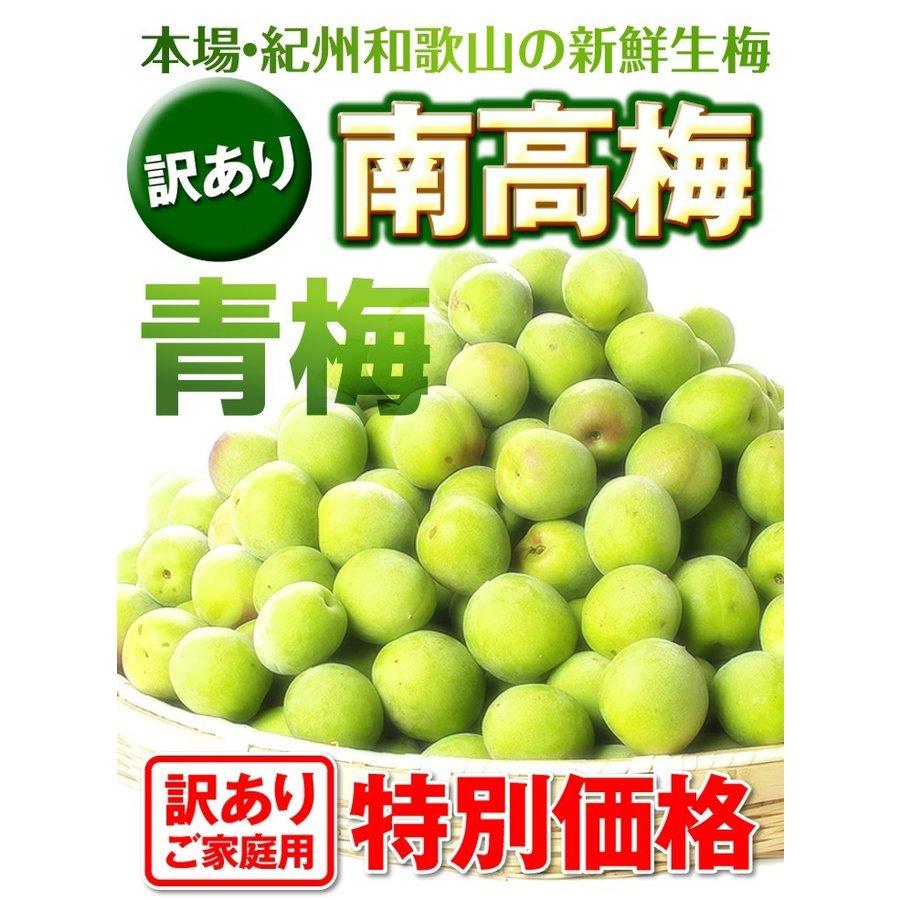 国華園 梅 5kg 紀州南高梅【青梅】和歌山産 送料無料 食品 : 花と緑 国