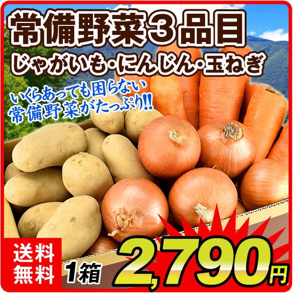 国産 新鮮 常備野菜セット 3品目 それぞれ約2kgずつ 厳選 じゃがいも 国華園 にんじん 玉ねぎ Set 日本限定 詰合せ