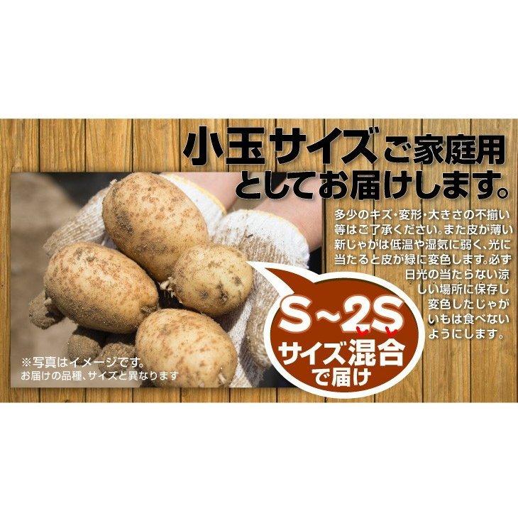 じゃがいも 青森産 新メークイン 小玉 10kg 送料無料 食品 F 花と緑 国華園 通販 Yahoo ショッピング