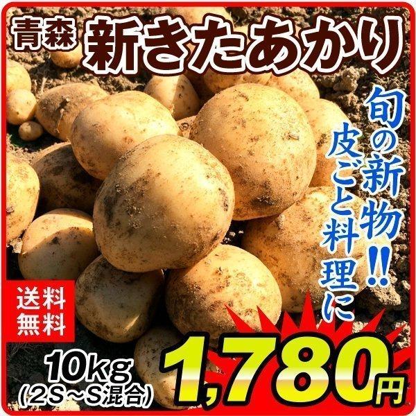 じゃがいも 青森産 新きたあかり 10kg 2s S混合 新じゃがいも ご家庭用 ばれいしょ 馬鈴薯 野菜 国華園 F 花と緑 国華園 通販 Yahoo ショッピング