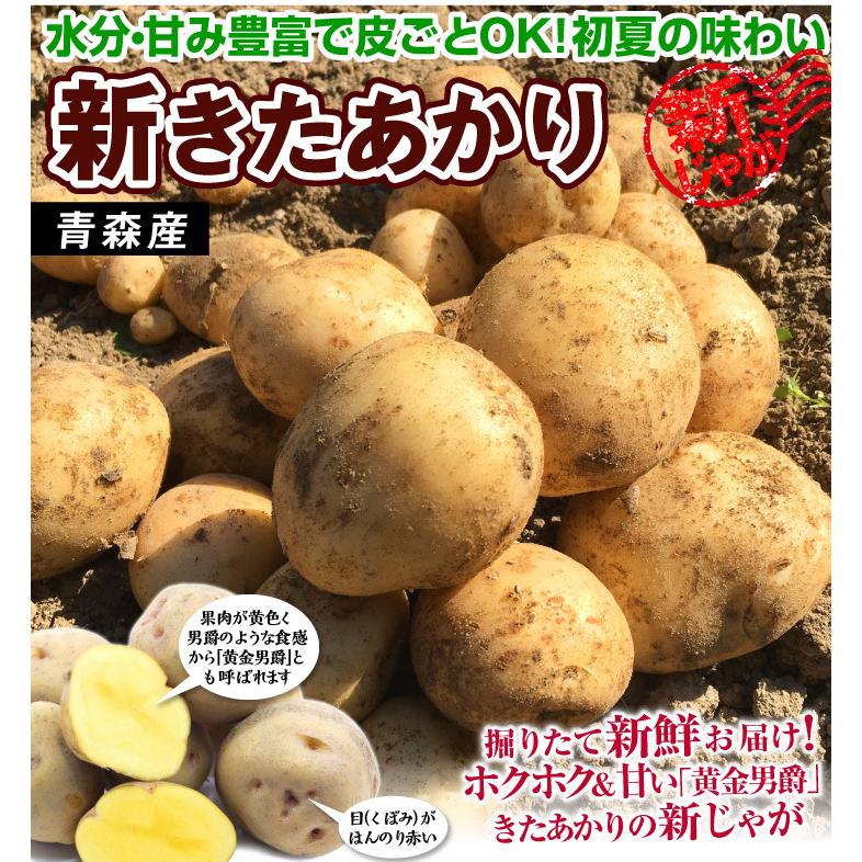 じゃがいも 青森産 新きたあかり 10kg 2s S混合 新じゃがいも ご家庭用 ばれいしょ 馬鈴薯 野菜 国華園 F 花と緑 国華園 通販 Yahoo ショッピング