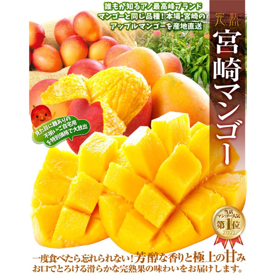 国華園 マンゴー 2kg ふぞろいアップルマンゴー 宮崎産 宮崎マンゴー
