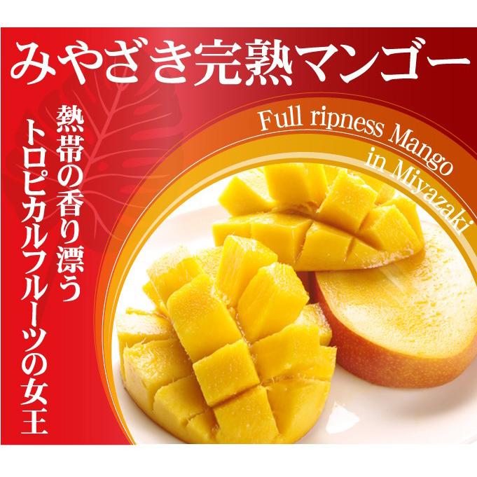 マンゴー 大玉アップルマンゴー 2玉 宮崎産 ご家庭用 合計800g マンゴー 大玉アップルマンゴー 2玉 宮崎産 ご家庭用 合計800g