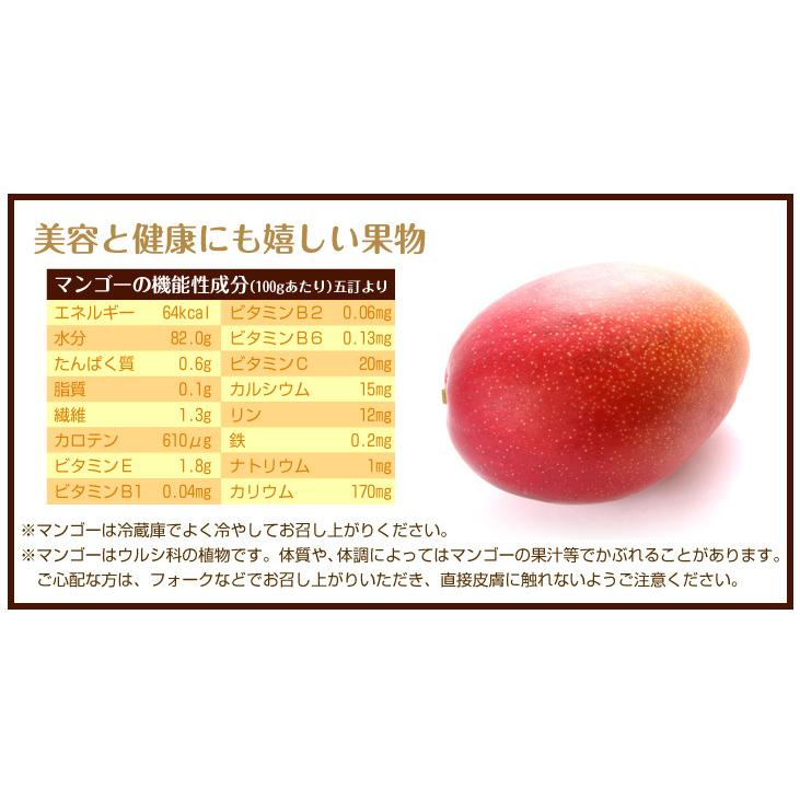 マンゴー 2玉 大玉アップルマンゴー 宮崎産 送料無料 合計800g〜1kg ご家庭用 太陽のタマゴと同じ品種 宮崎マンゴー フルーツ 食品｜kokkaen｜11