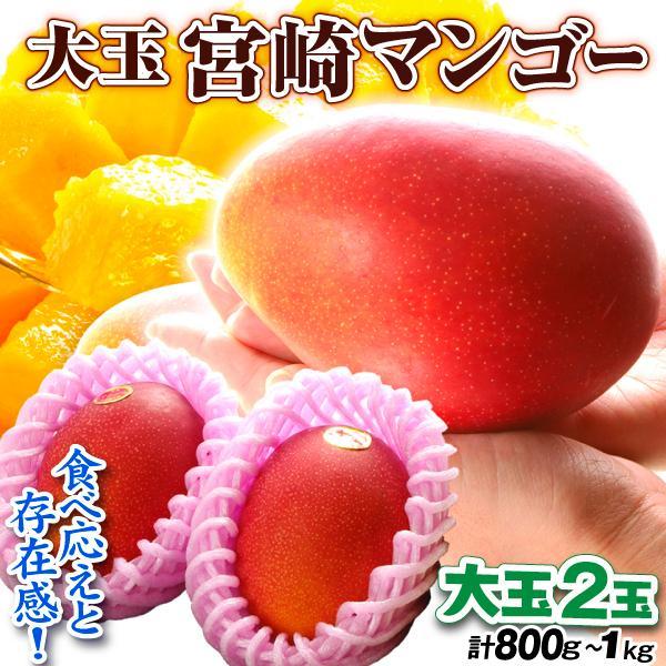 マンゴー 2玉 大玉アップルマンゴー 宮崎産 芒果 太陽のタマゴと