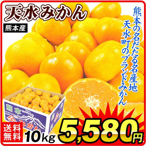 みかん 10kg 天水みかん 熊本産 温州みかん 送料無料 食品 爆買 : 花と