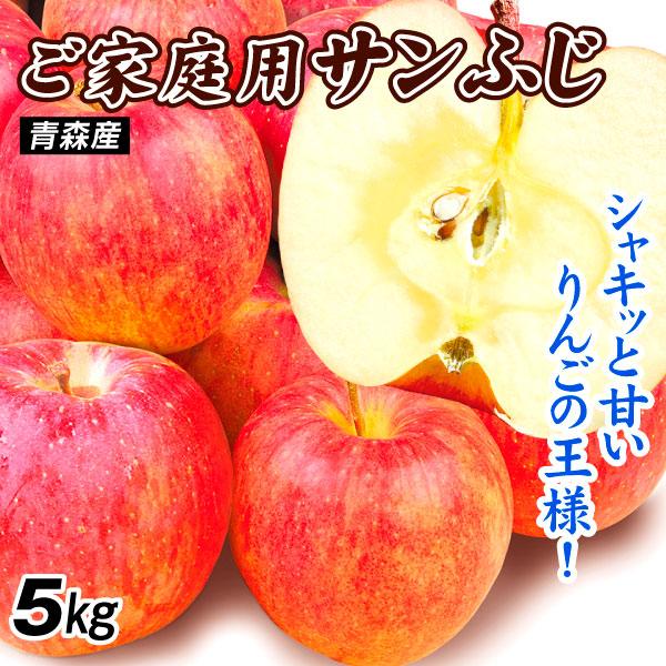 国華園 りんご 5kg ご家庭用 サンふじ 青森産 送料無料 食品【2026年産