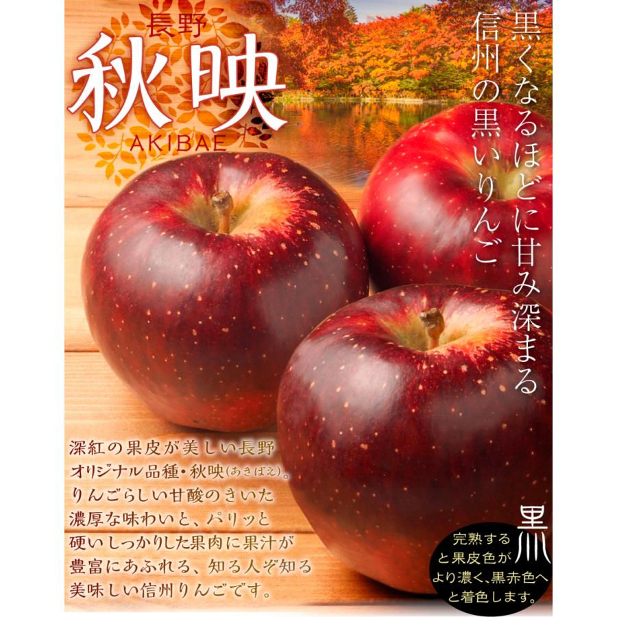 りんご 10kg 秋映 長野産 ご家庭用 送料無料 食品 : 花と緑 国華園