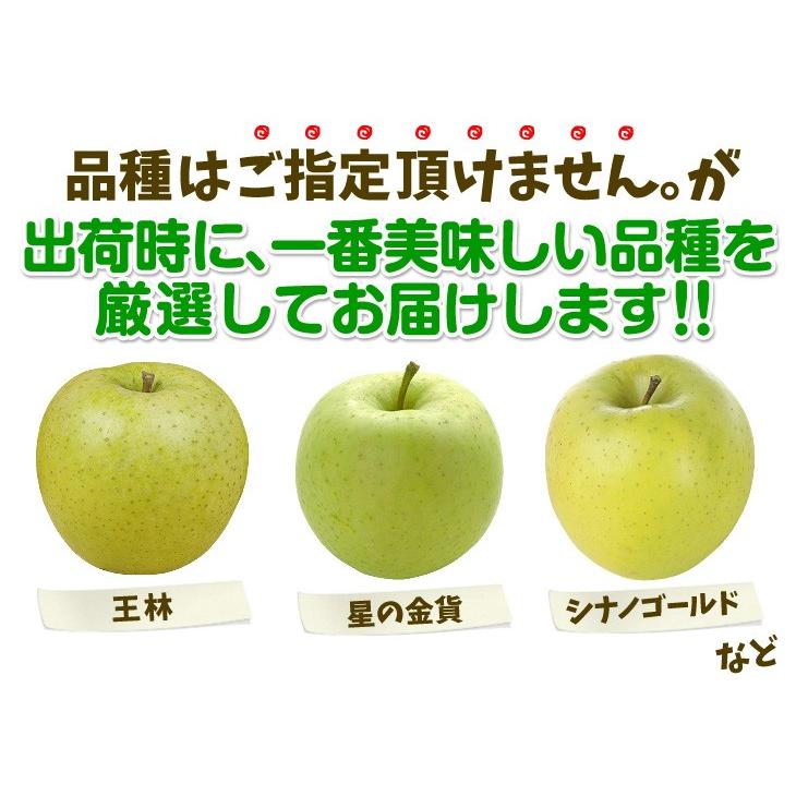 りんご 青森産 お楽しみ木箱 青りんご 10kg 24 56玉 ご家庭用 林檎 果物 フルーツ 国華園 F 花と緑 国華園 通販 Yahoo ショッピング
