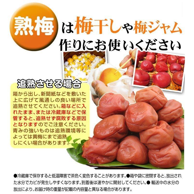 紀州南高梅 追熟梅 秀品（最高級品） 3L 5kg 送料込み