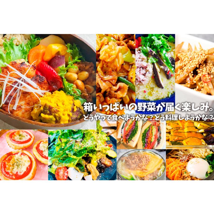 15品目の野菜セット 常温便 送料無料 食品｜kokkaen｜07