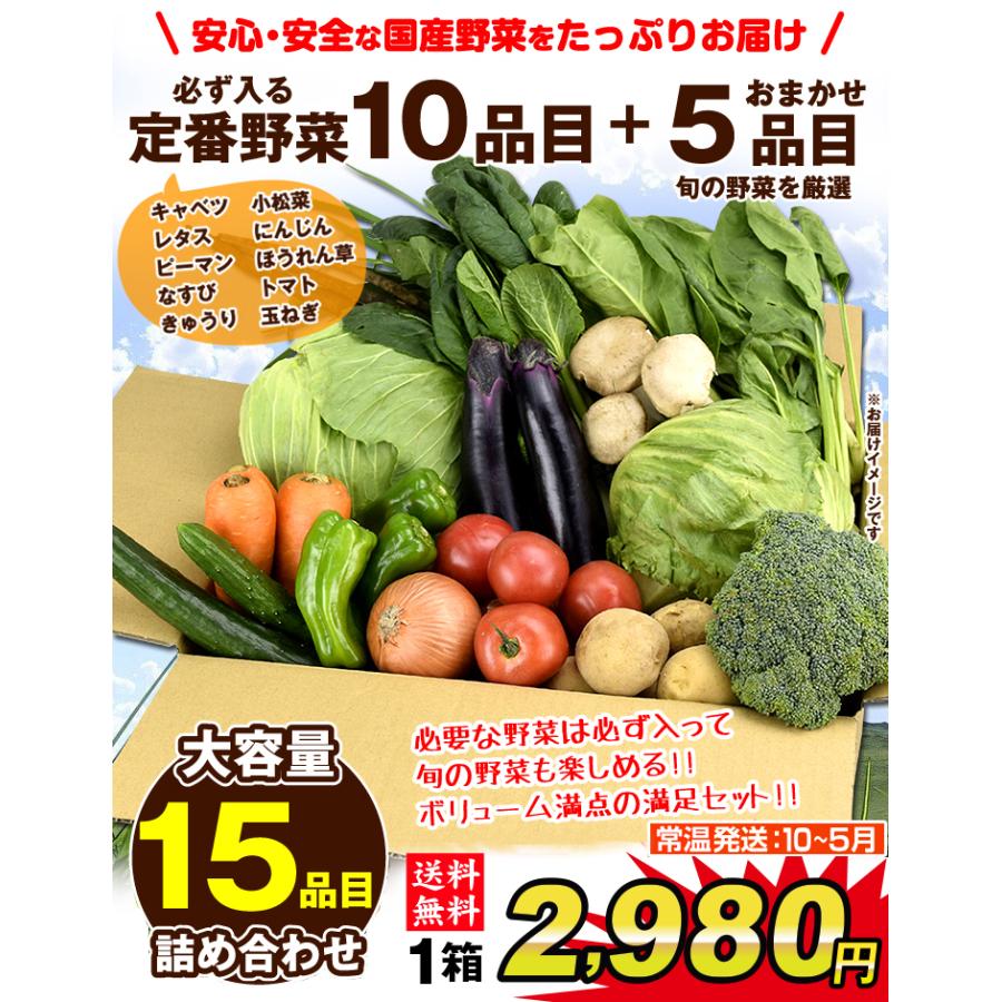 15品目の野菜セット 常温便 送料無料 食品｜kokkaen｜02