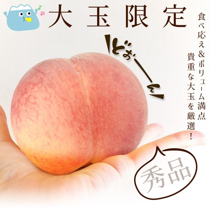 国華園 もも 1.5kg 笛吹の桃【特大】山梨産 送料無料 食品 : 花と緑 国