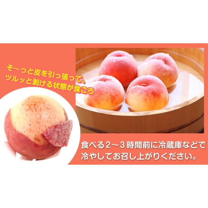 国華園 もも 1.5kg 笛吹の桃【特大】山梨産 送料無料 食品 : 花と緑 国