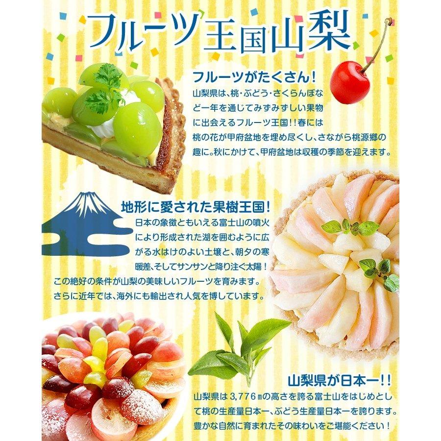 国華園 もも 5kg ご家庭用 山梨の桃 山梨産 送料無料 食品 : 花と緑 国