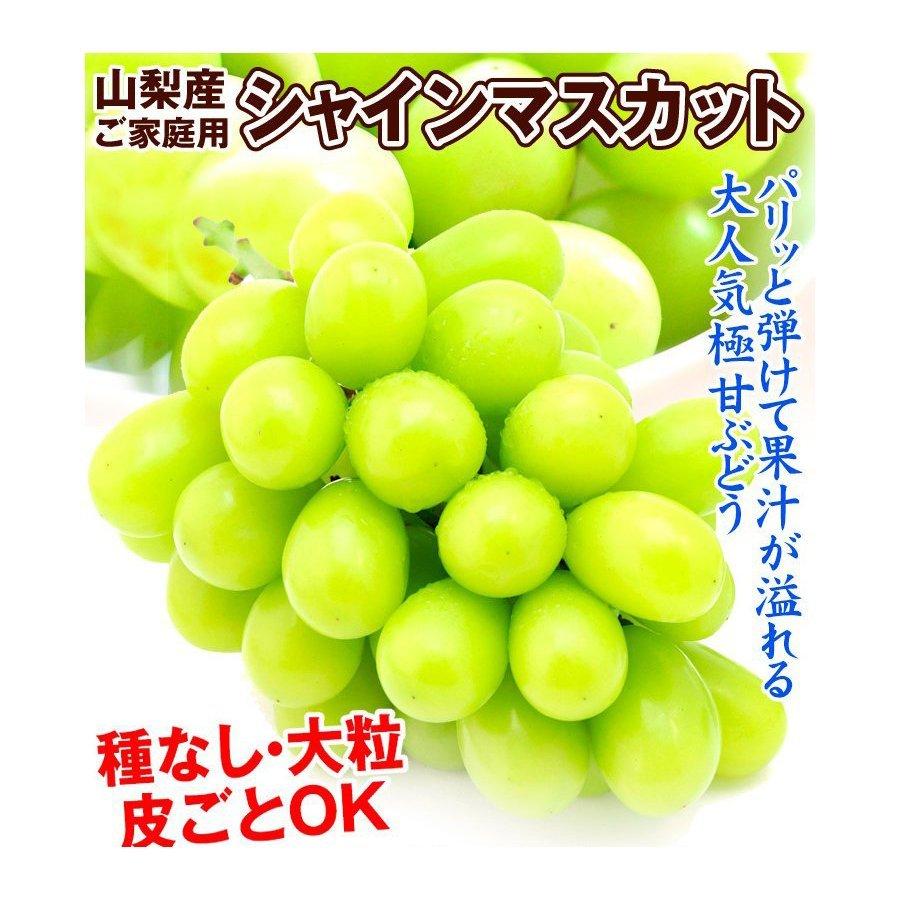 日本限定モデル 和歌山県産たねなしピオーネ約2kg 種なし ぶどう 葡萄 大粒 産地直送 新鮮 冷蔵便 22年8月下旬 9月下旬頃に順次発送予定 離島への配送不可 Fucoa Cl