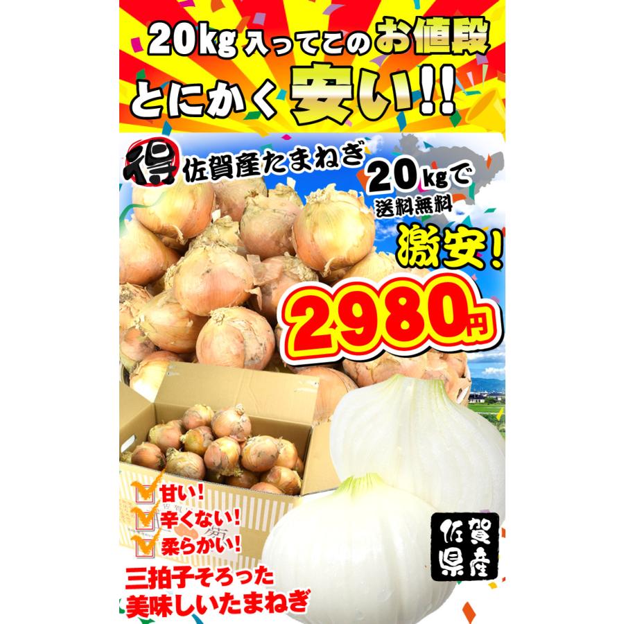 たまねぎ 佐賀産 玉ねぎ kg M 3l ご家庭用 大量 野菜 やさい 新鮮 国華園 F 花と緑 国華園 通販 Yahoo ショッピング
