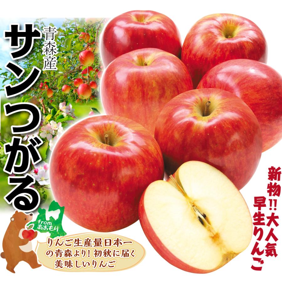 国華園 りんご 10kg ご家庭用 サンつがる 青森産 送料無料 食品【2026