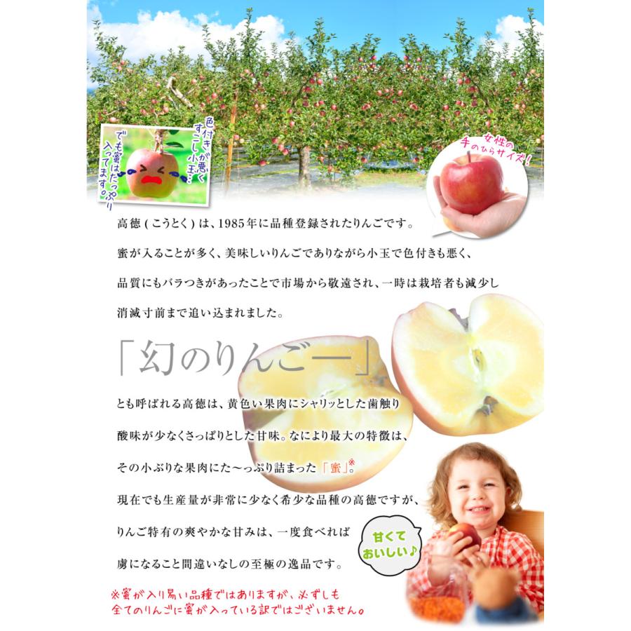 りんご 山形産 高徳 3kg 1箱 送料無料 蜜入り こうとく 2022年11月発送 新もの 食品 国華園 :f81774:花と緑 国華園 - 通販  - Yahoo!ショッピング