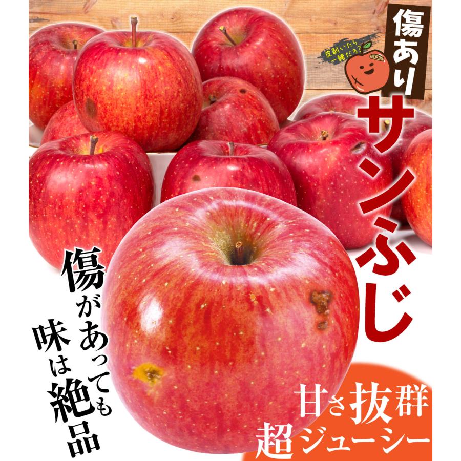 国華園 りんご 10kg 傷あり 美味しいサンふじ 青森産 送料無料 食品