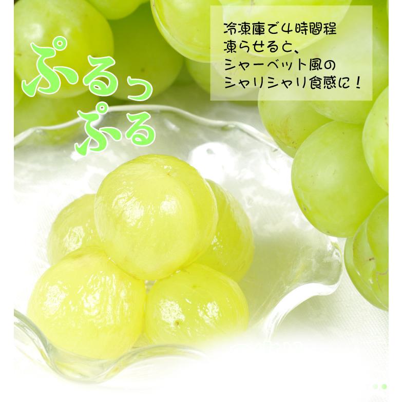 ぶどう 約1kg 瀬戸ジャイアンツ 岡山産 ご家庭用（約500g×2房