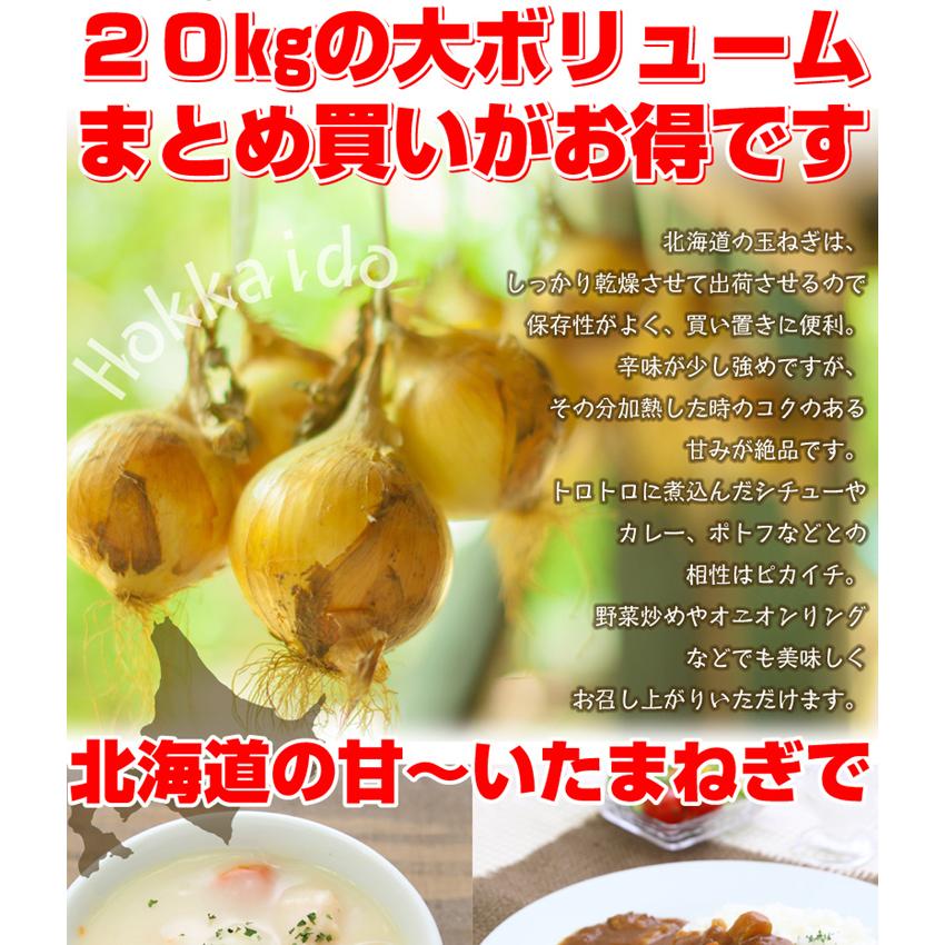 たまねぎ 20kg 北海道産 たまねぎ（2L・L大）大量 玉ねぎ 玉葱 送料無料 野菜 食品 国華園 :f81971:花と緑 国華園 - 通販 -  Yahoo!ショッピング
