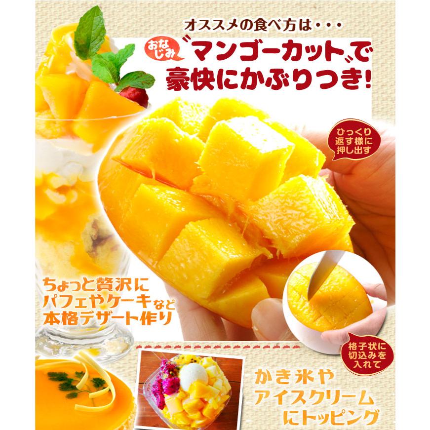 マンゴー 1kg ふぞろいアップルマンゴー 宮崎産 芒果 太陽の