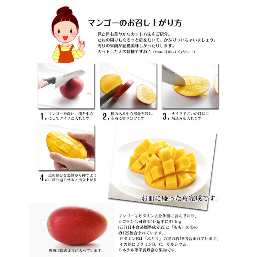 マンゴー 1kg ふぞろいアップルマンゴー 宮崎産 芒果 太陽のタマゴと