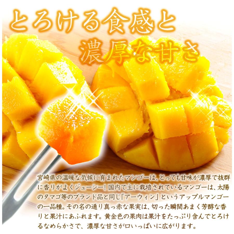 マンゴー 1kg ふぞろいアップルマンゴー 宮崎産 2〜8玉 送料無料 ご 