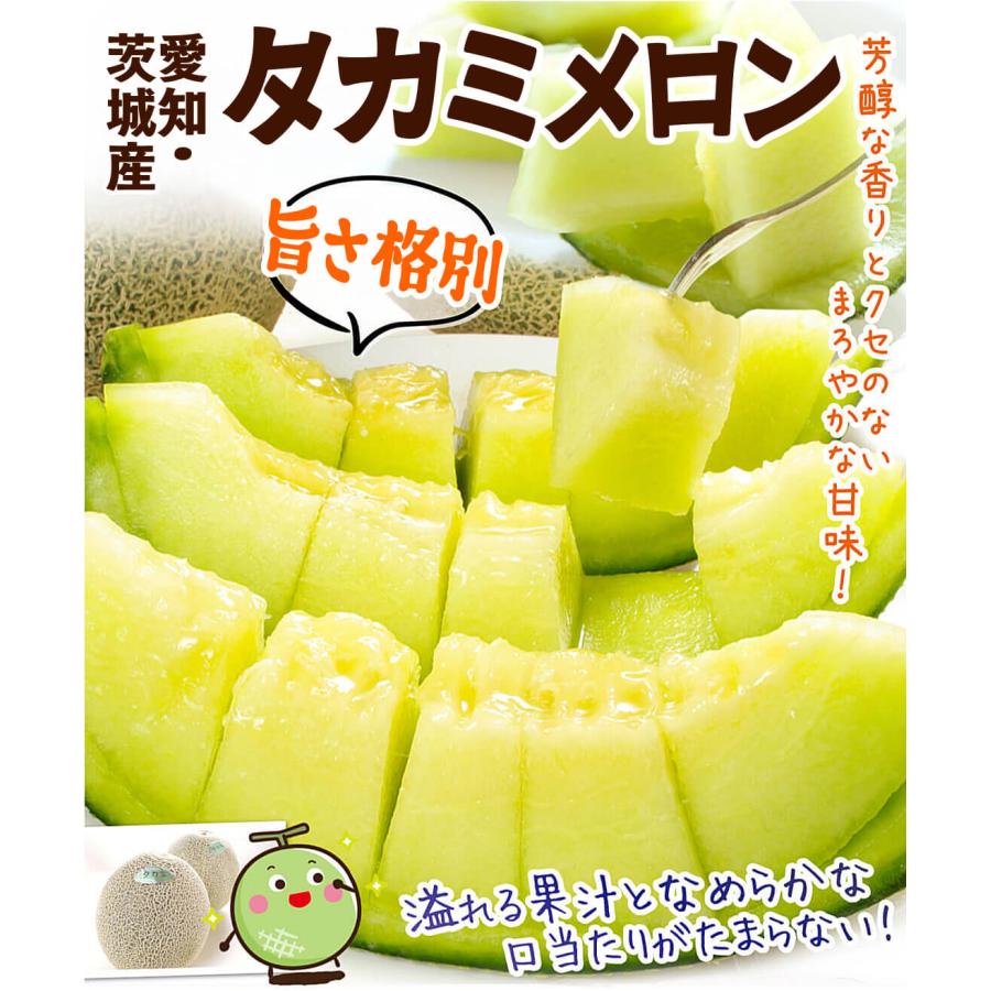 メロン 約5kg 愛知・茨城産 タカミメロン タカミ 貴美 芳醇な香りで極