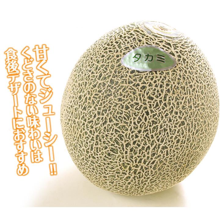 メロン 約5kg 愛知・茨城産 タカミメロン タカミ 貴美 芳醇な香りで極