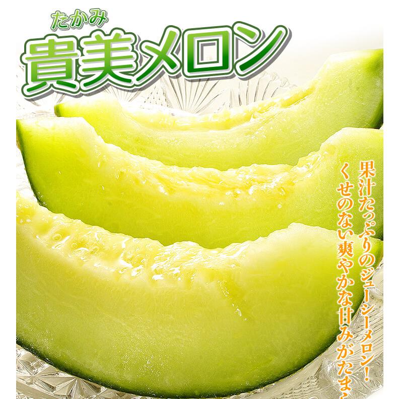 メロン 約5kg 愛知・茨城産 タカミメロン タカミ 貴美 芳醇な香りで極