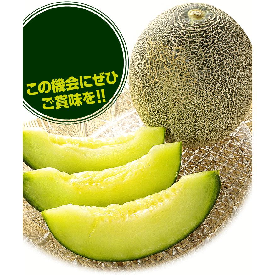 メロン 約5kg 愛知・茨城産 タカミメロン タカミ 貴美 芳醇な香りで極