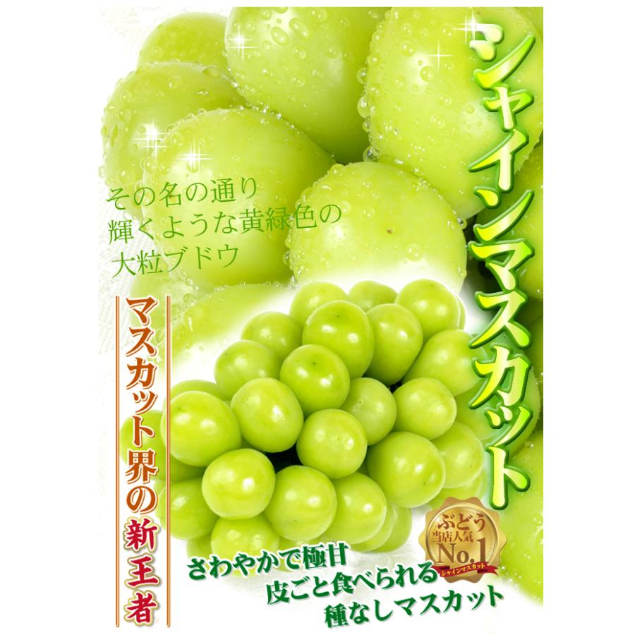 ぶどう 約1.2kg（2房） シャインマスカット 山梨産 お買得 甘くて