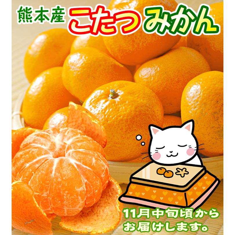 みかん 10kg 熊本産 こたつみかん 送料無料 食品 :f82051:花と緑 国華園 - 通販 - Yahoo!ショッピング みかん 10kg 熊本産 こたつみかん 送料無料 食品 :f82051:花と緑 国華園 - 通販 - Yahoo!ショッピング