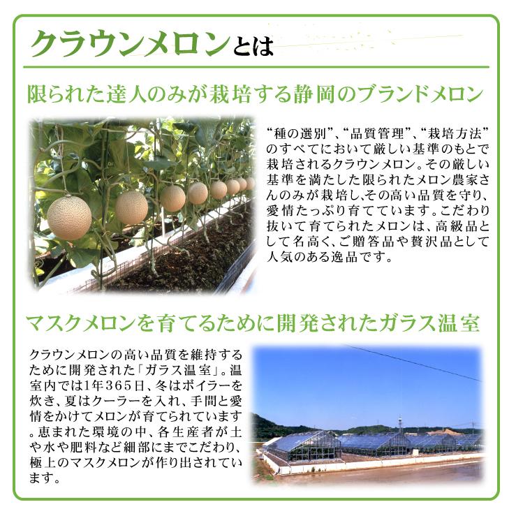メロン 1玉 クラウンメロン 静岡産 化粧箱入り マスクメロン 贈答にも