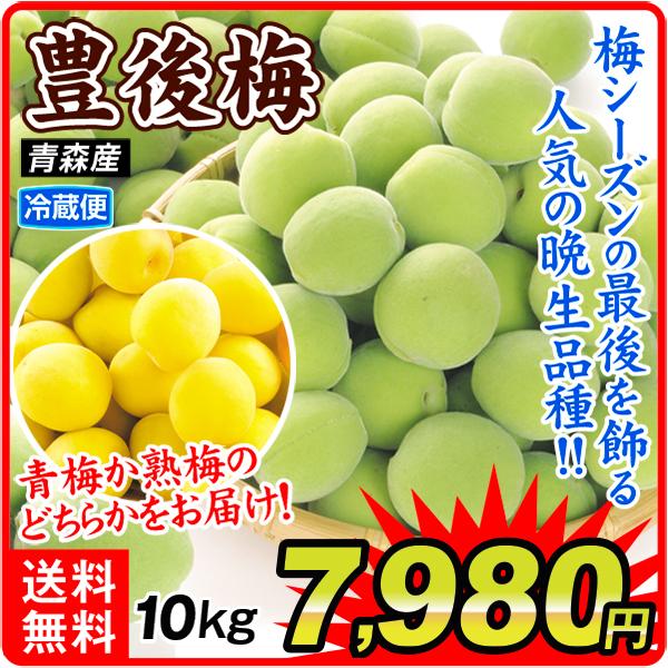 至上 梅 豊後梅 10kg おまかせ 送料無料 食品 Wantannas Go Id