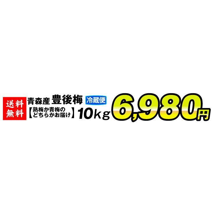 至上 梅 豊後梅 10kg おまかせ 送料無料 食品 Wantannas Go Id