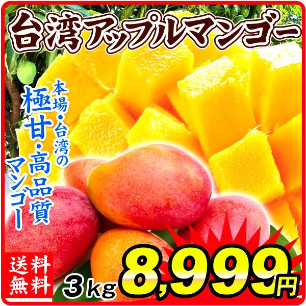 マンゴー 台湾産 ご家庭用 アップルマンゴー 約3kg 送料無料 食品 マンゴー