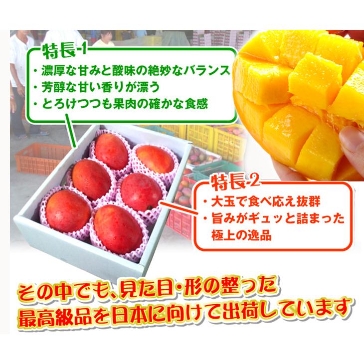 マンゴー 台湾産 ご家庭用 アップルマンゴー 約3kg 送料無料 食品｜kokkaen｜03
