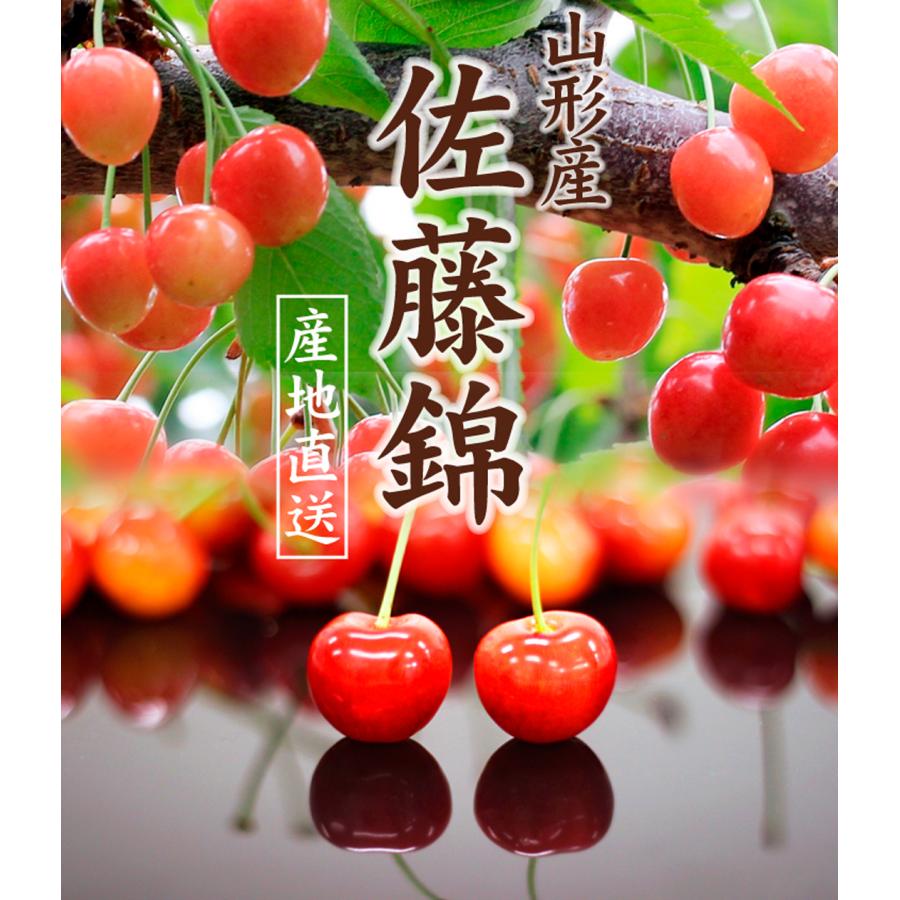 国華園 さくらんぼ 800g 佐藤錦 ご家庭用 山形産 さとうにしき