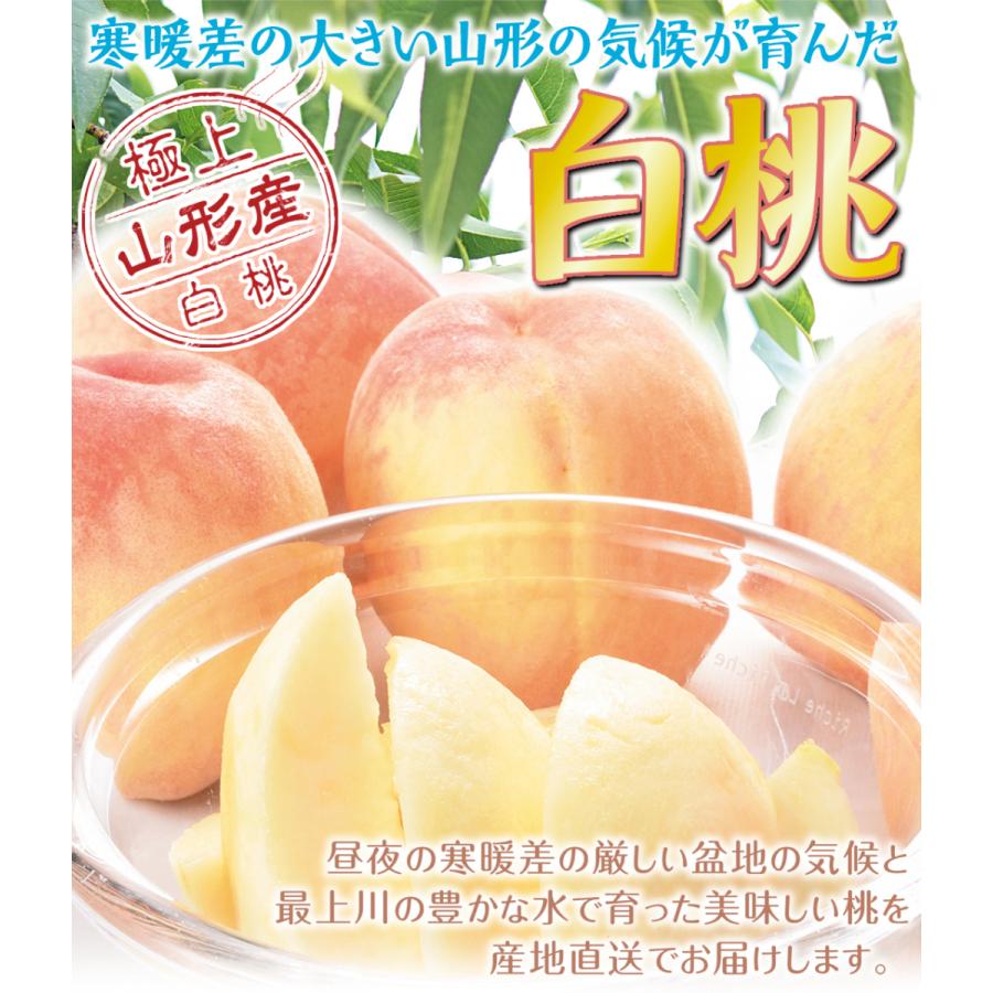 国華園 もも 5kg 大特価 山形の白桃 山形産 真夏の太陽で甘〜く熟した