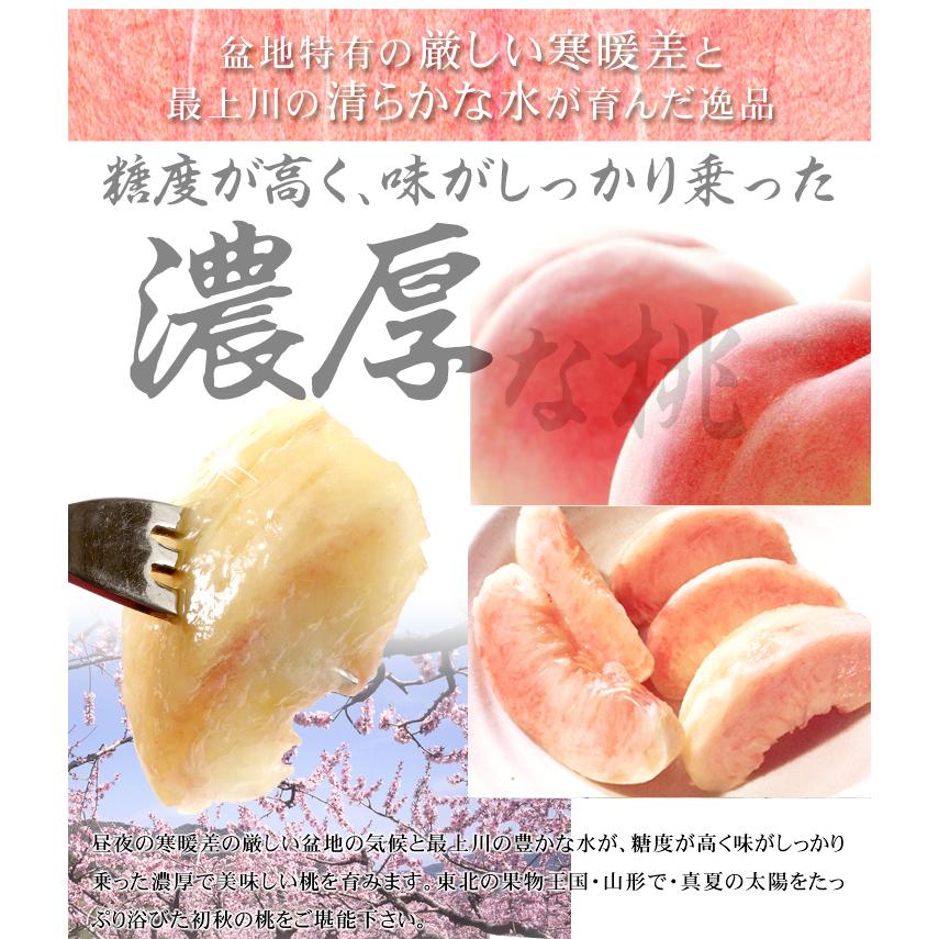 国華園 もも 5kg 大特価 山形の白桃 山形産 真夏の太陽で甘〜く熟した