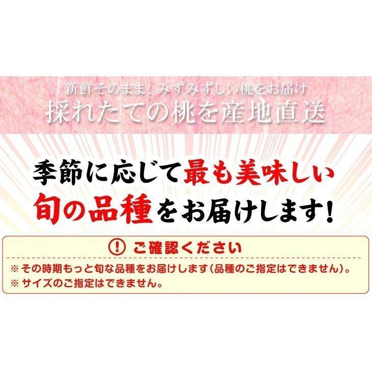 もも 約5kg 大特価 山形の白桃 山形産 送料無料 食品｜kokkaen｜05