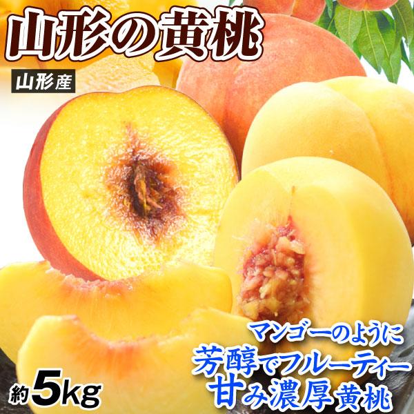 国華園 もも 5kg 大特価 山形の黄桃 山形産 ご家庭用 黄金桃