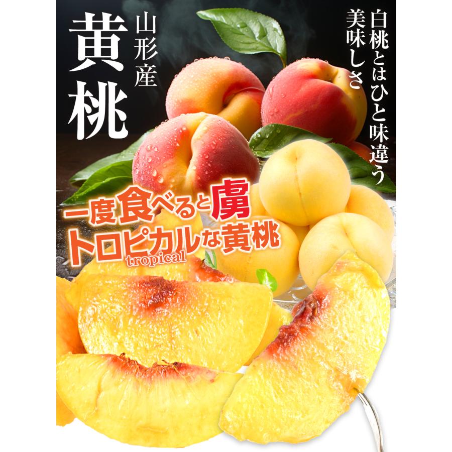 山形県産　桃ご家庭用黄金桃⑤5キロ箱使用 国華園 もも 5kg 大特価 山形の黄桃 山形産 ご家庭用 黄金桃